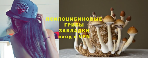эйфоретик Абаза