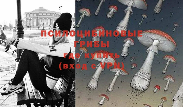 ГАЛЛЮЦИНОГЕННЫЕ ГРИБЫ Абдулино