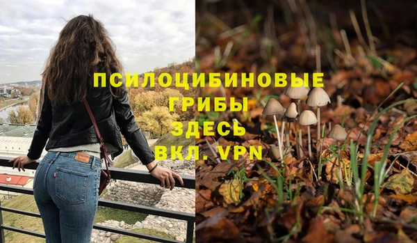 ГАЛЛЮЦИНОГЕННЫЕ ГРИБЫ Абдулино