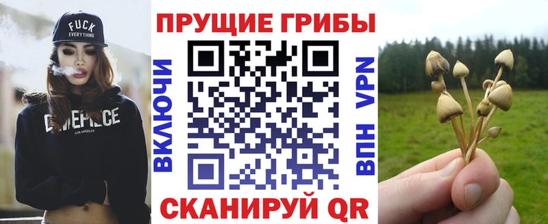 Галлюциногенные грибы мицелий  Уфа 